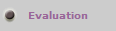 Evaluation