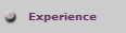 Experience