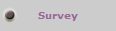 Survey